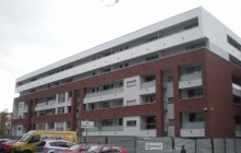 Kasztanowa Aleja