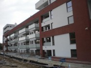 Kasztanowa Aleja