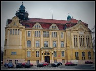 Copernicanum  , Zespół Szkół nr 13