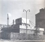 Trzonolinowiec , Wisielec
