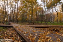Park Przygodna