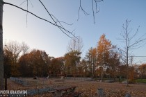 Park Przygodna