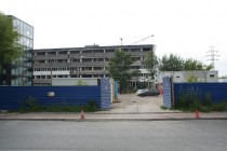 Nefryt