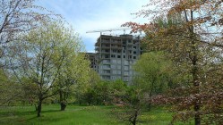 City Park