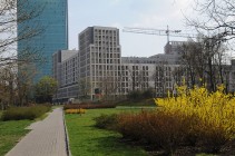 Trio Apartamenty