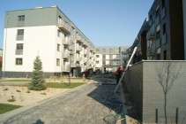 Zacisze Krzemienieckie