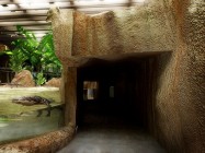 Oceanarium - Afrykarium