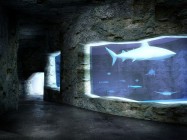 Oceanarium - Afrykarium