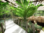 Oceanarium - Afrykarium