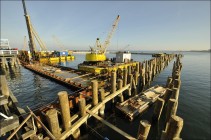 Marina - Port jachtowy