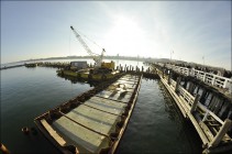 Marina - Port jachtowy