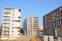 Malta Nowa 