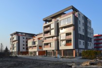Krzycka 92