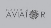 Logo Galeria Navigator