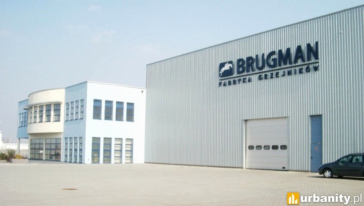 Miniaturka Brugman