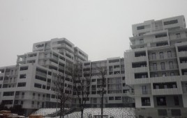 Feniks