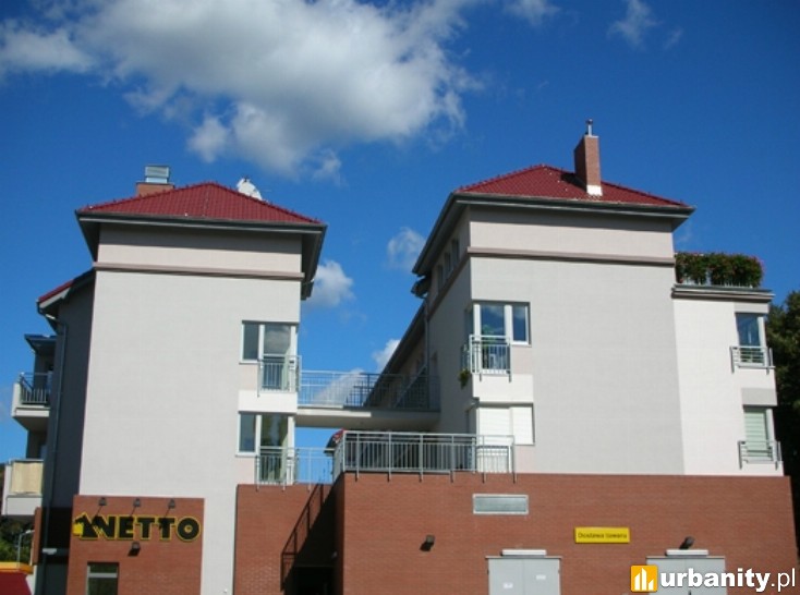 Miniaturka Zaleskiego 2d