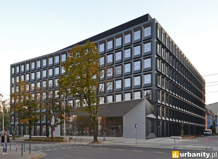 Miniaturka Green2Day