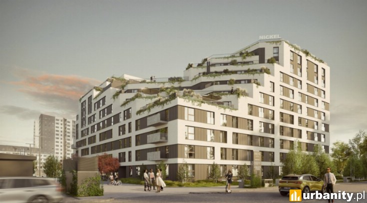 Miniaturka Fiqus Marcelin