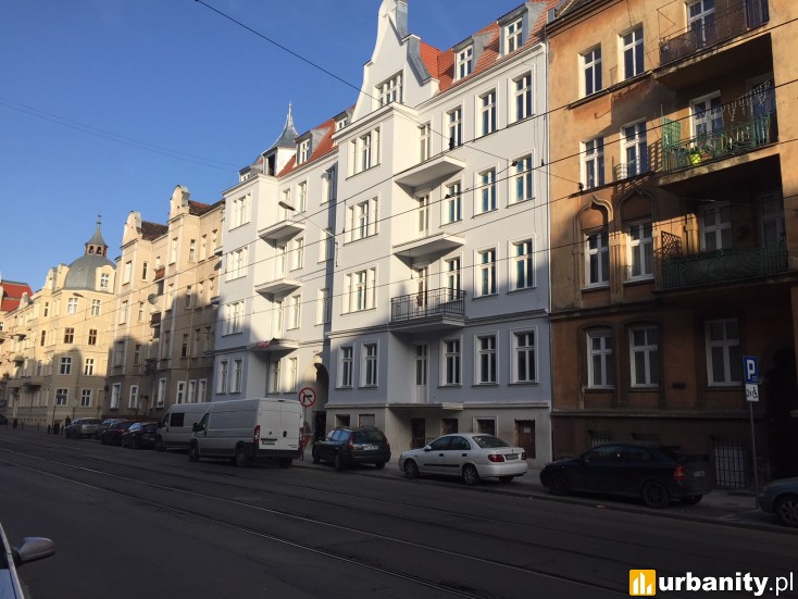 Miniaturka Wilda Nova