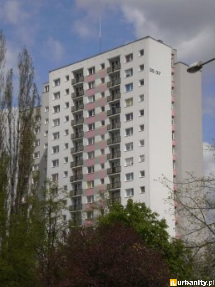 Miniaturka Piastowskie 36