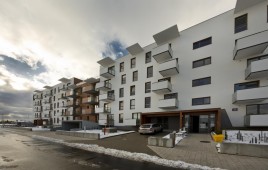 Accent Eco