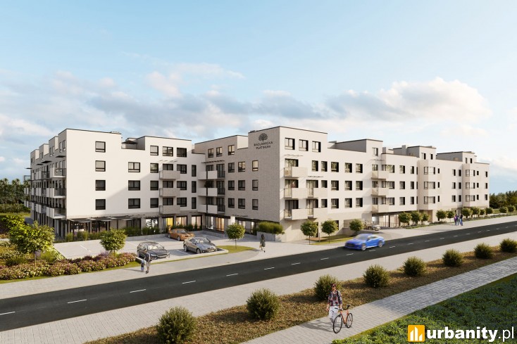 Miniaturka Racławicka Platinum