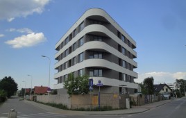 Dzikiej Kaczki