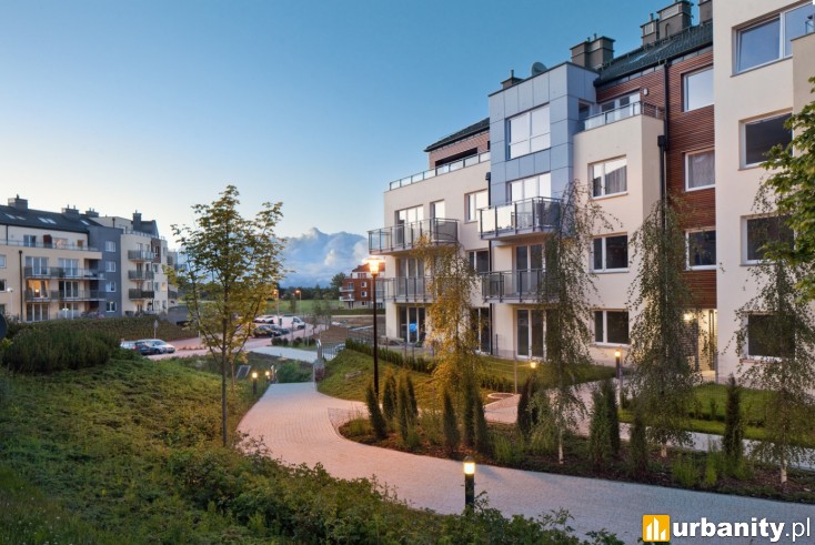 Miniaturka Sokółka Zielenisz