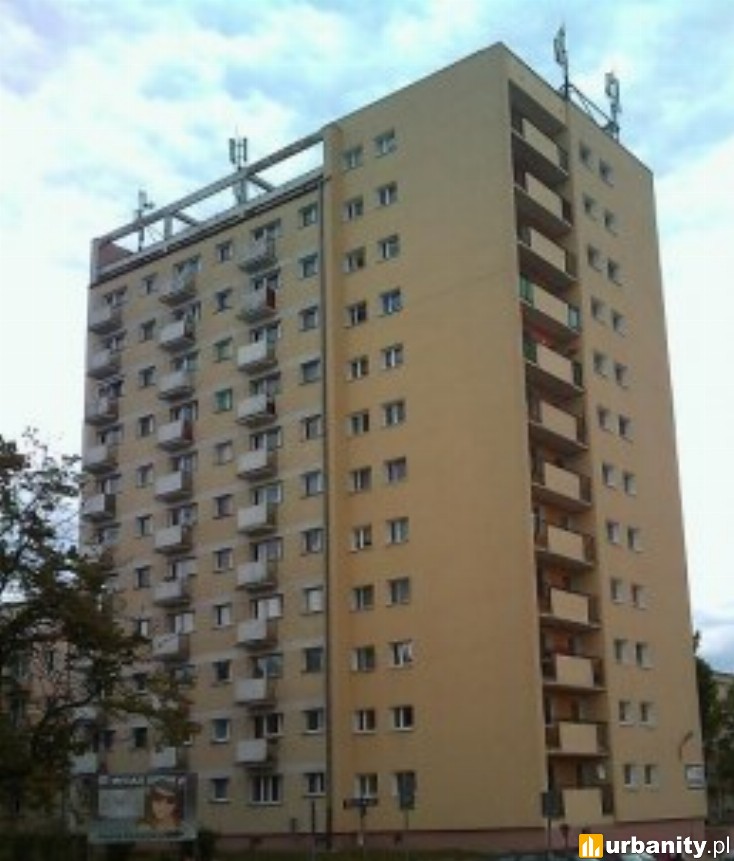 Miniaturka Bukowa 14
