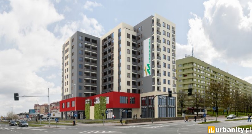 Miniaturka Modehpolmo Witkiewicza