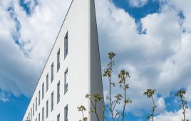 Krzycka Office