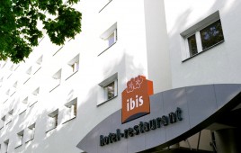 Ibis