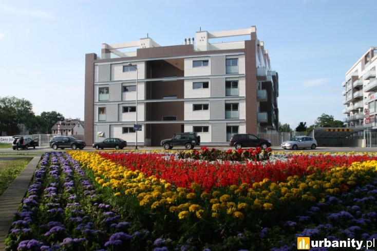 Miniaturka Ogrody Grabiszyńskie