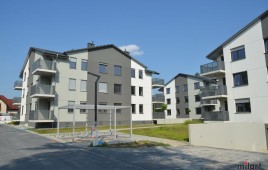 Parkowe Radwanice