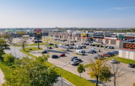Galeria Różana