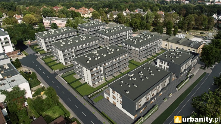 Miniaturka Gardenia Pogodno