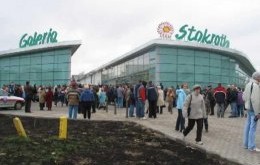 Galeria Stokrotka