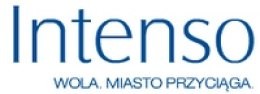Logo Intenso