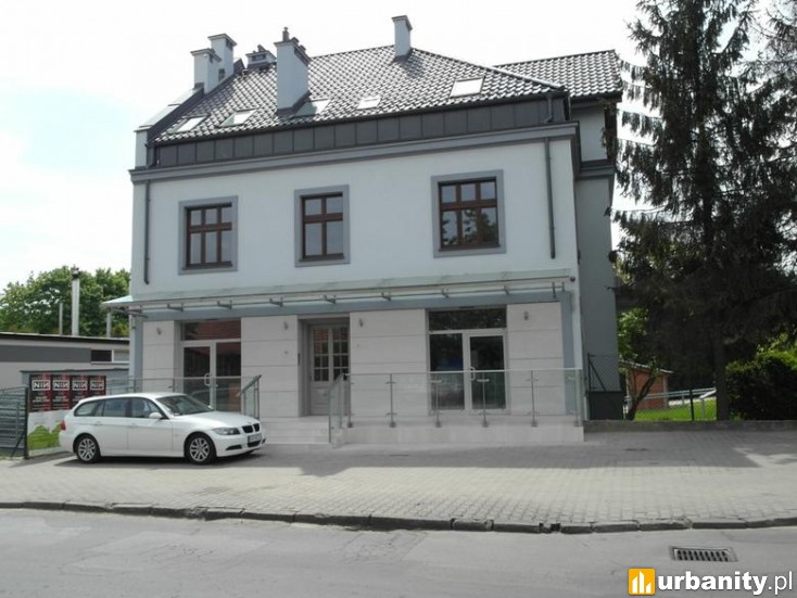 Miniaturka Królowej Jadwigi 246