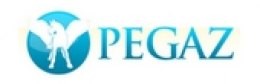 Logo Pegaz