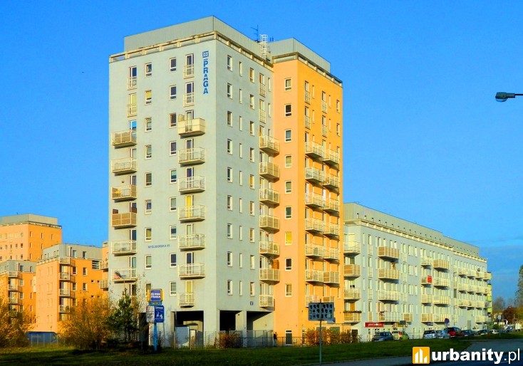 Miniaturka Myśliborska 85