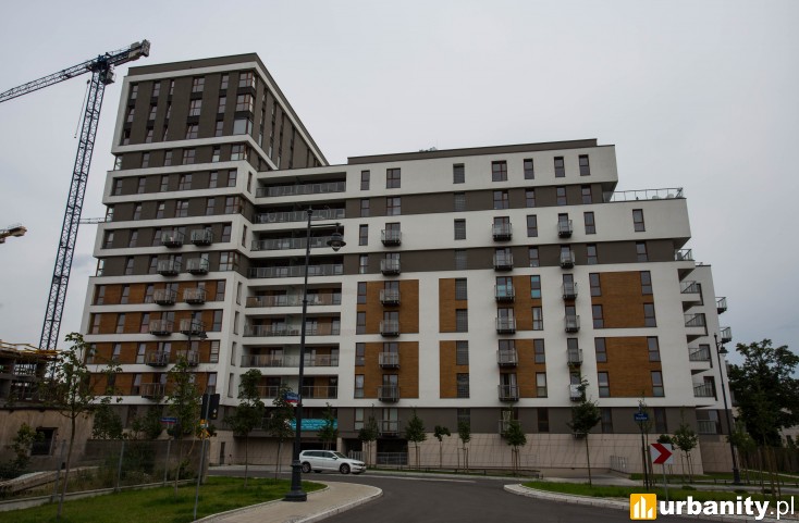 Miniaturka Apartamenty Ilumino