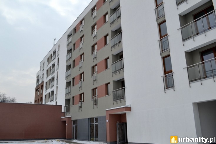 Miniaturka Kalbud Grudzińskiego