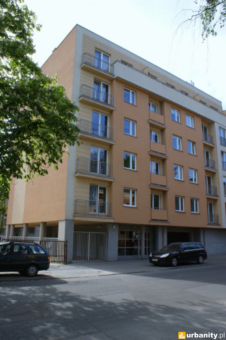 Miniaturka Wysoka 23