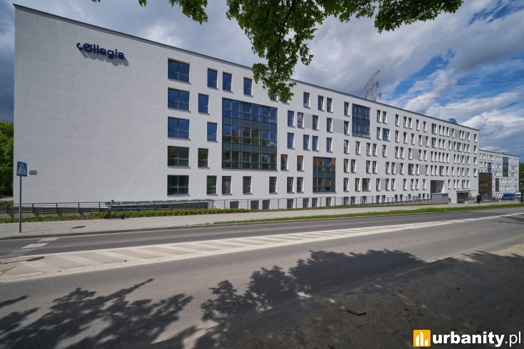 Miniaturka Akademik Collegia