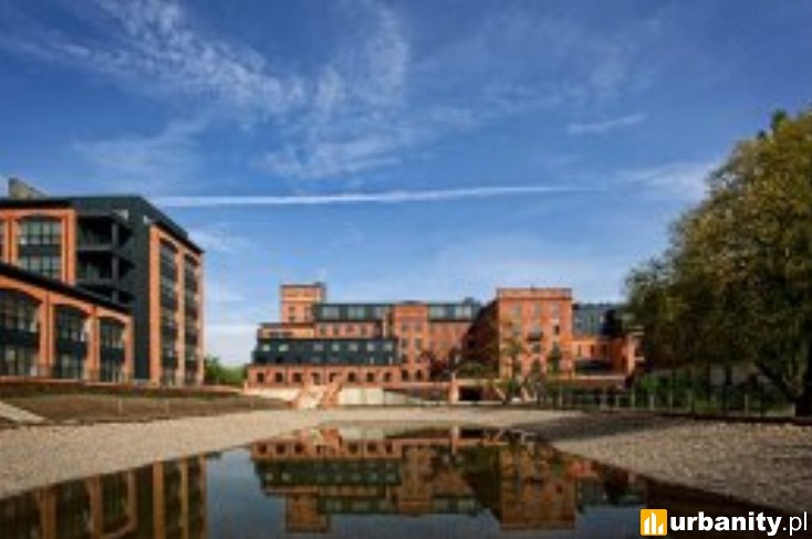 Miniaturka U Scheiblera