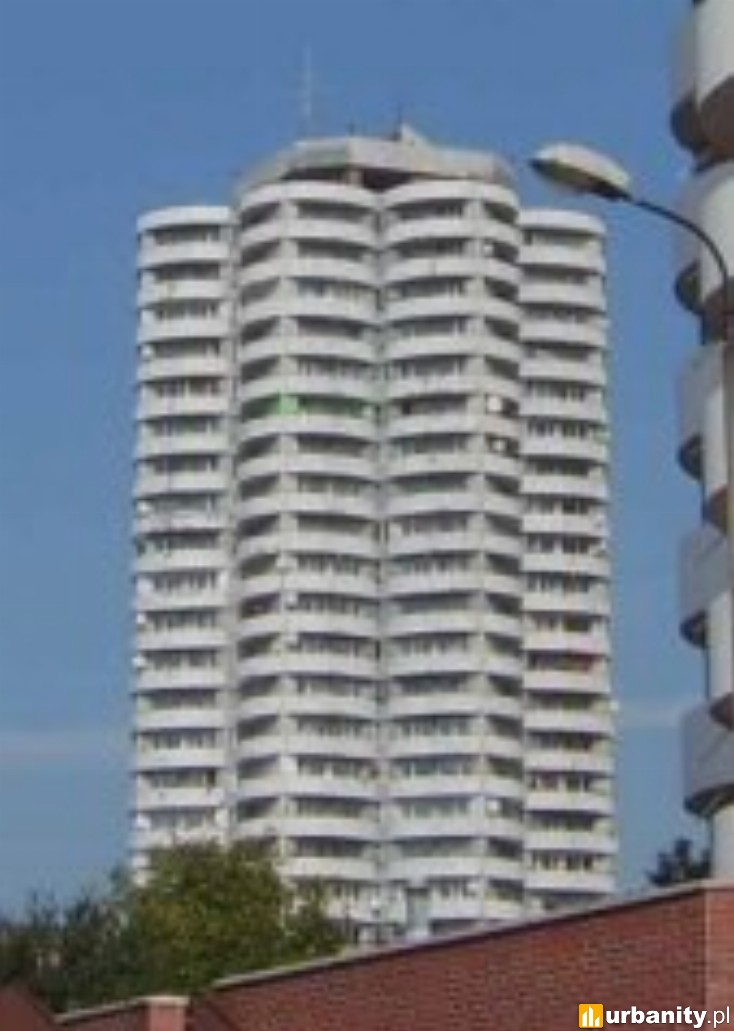 Miniaturka Kukurydza 2