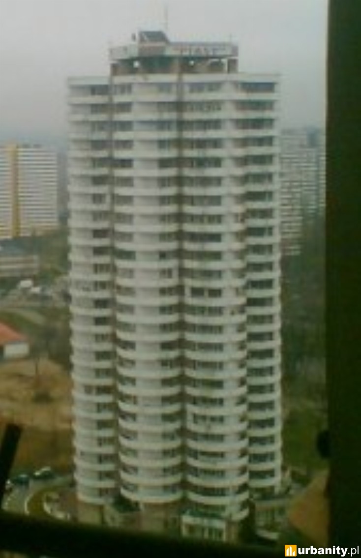 Miniaturka Kukurydza 3