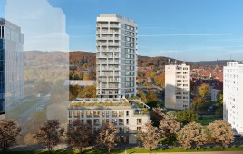 Miniaturka Olivia Pulse